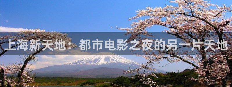 豪门国际pg电子：上海新天地：都市电影之夜的另一片天地