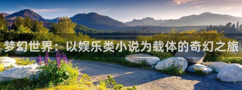 豪门国际注册：梦幻世界：以娱乐类小说为载体的奇幻之旅